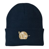 Knit Cap Thumbnail