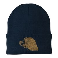 Knit Cap Thumbnail