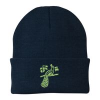 Knit Cap Thumbnail