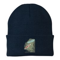 Knit Cap Thumbnail