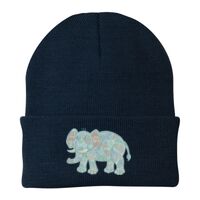 Knit Cap Thumbnail