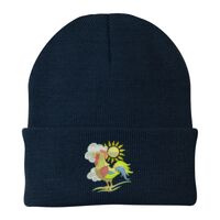 Knit Cap Thumbnail