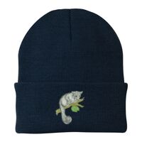 Knit Cap Thumbnail