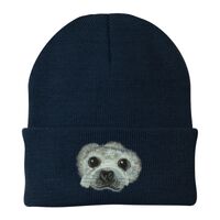 Knit Cap Thumbnail