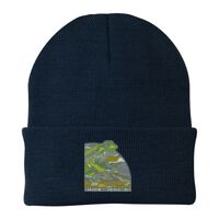 Knit Cap Thumbnail