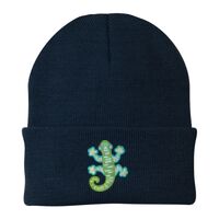 Knit Cap Thumbnail
