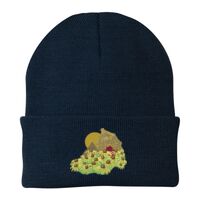 Knit Cap Thumbnail