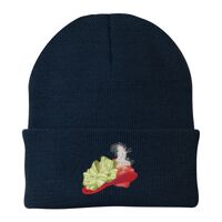 Knit Cap Thumbnail