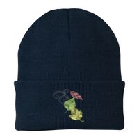 Knit Cap Thumbnail
