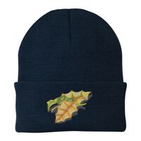 Knit Cap Thumbnail