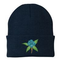 Knit Cap Thumbnail