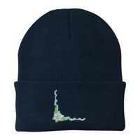 Knit Cap Thumbnail
