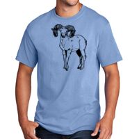 Core Cotton Tee Thumbnail