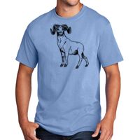 Core Cotton Tee Thumbnail