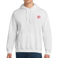 DryBlend ® Pullover Hooded Sweatshirt Thumbnail
